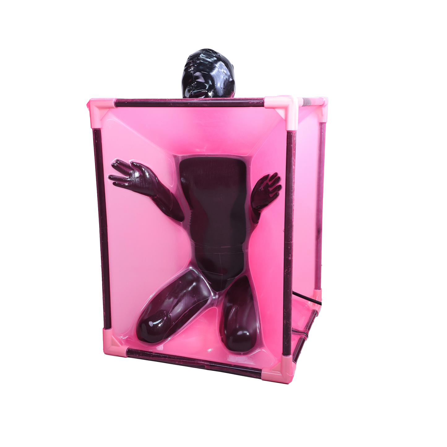 Vaccube Standard Version